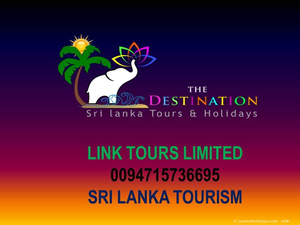 Link Tours Limited